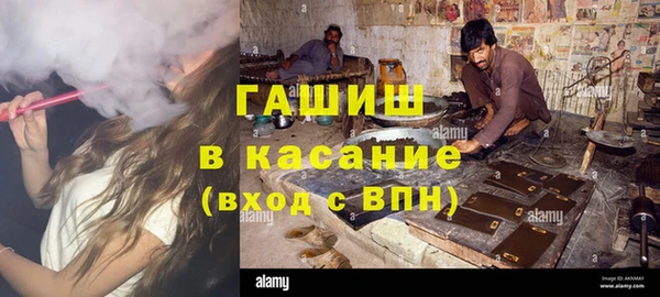 прущие грибы Саяногорск