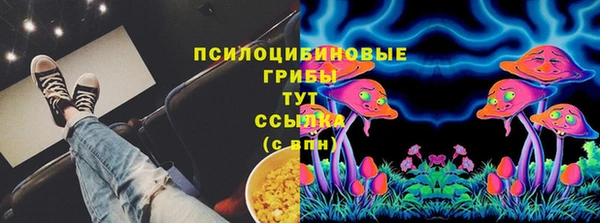 ПСИЛОЦИБИНОВЫЕ ГРИБЫ Мосальск