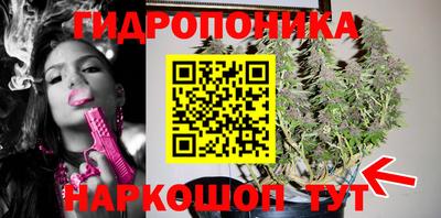 герыч Бийск