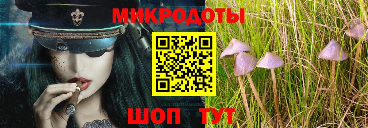 Псилоцибиновые грибы прущие грибы Серов