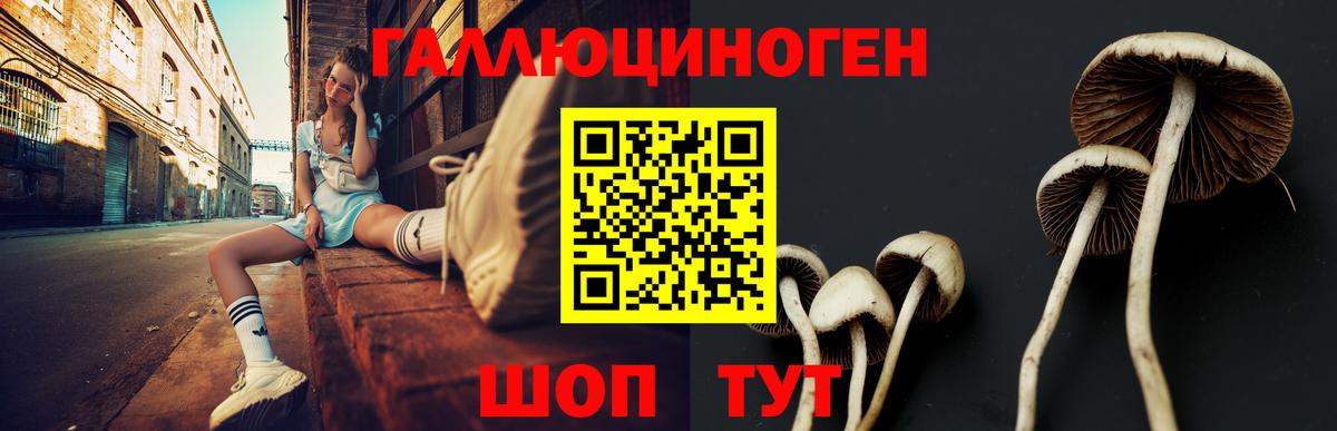 Серов  Галлюциногенные грибы MAGIC MUSHROOMS  Вход с VPN  Галлюциногенные грибы Magic Shrooms 